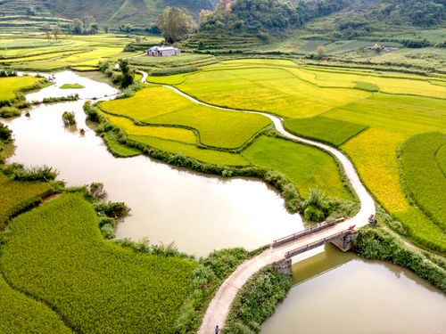 Free Aerial view of lush green fields, a winding river, and a small bridge in a rural landscape. Stock Photo