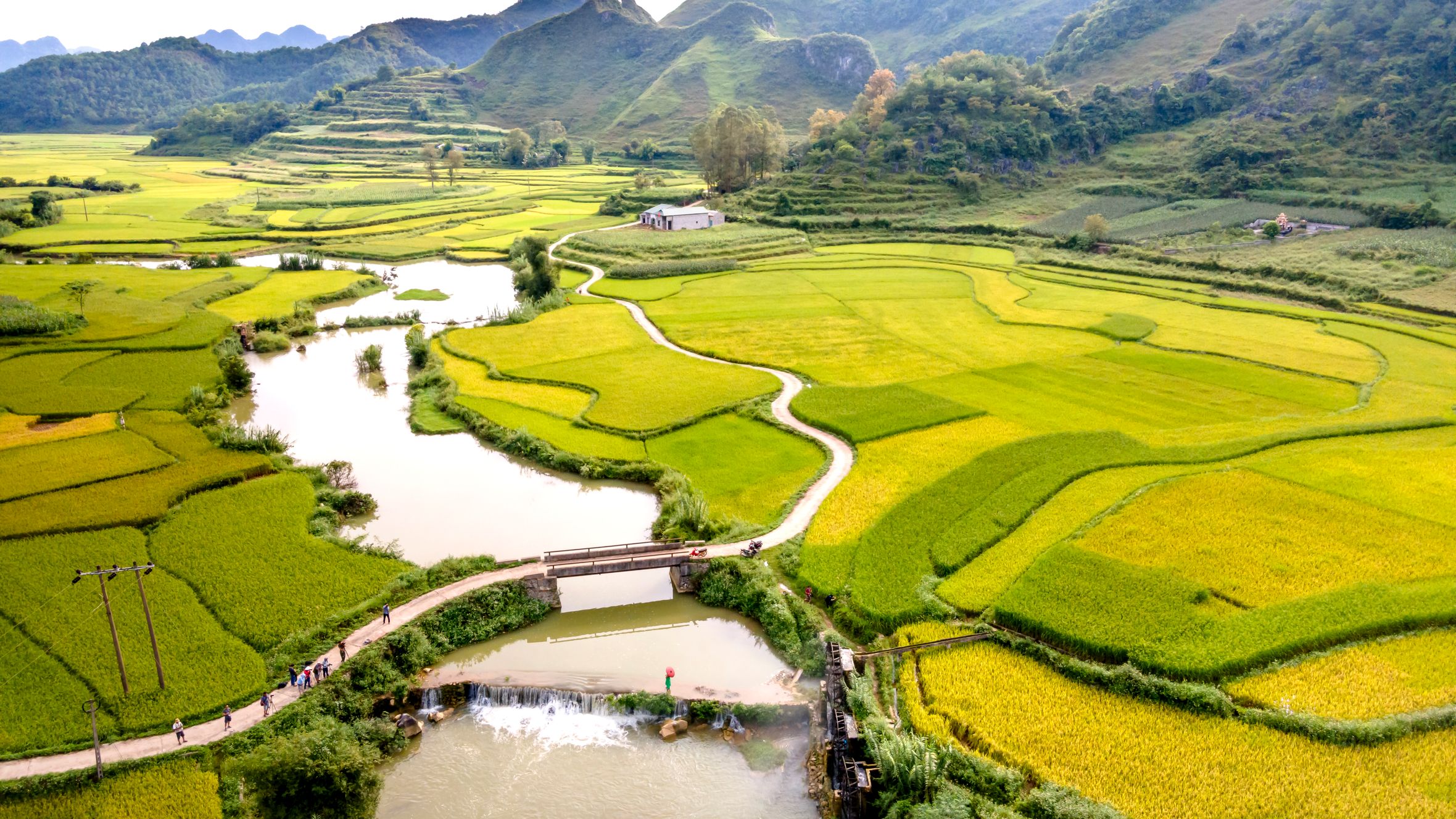 A breathtaking aerial view of vibrant terraced rice fields, a meandering river, and distant mountains.