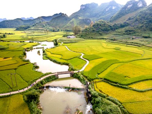 Free A breathtaking aerial view of vibrant terraced rice fields, a meandering river, and distant mountains. Stock Photo