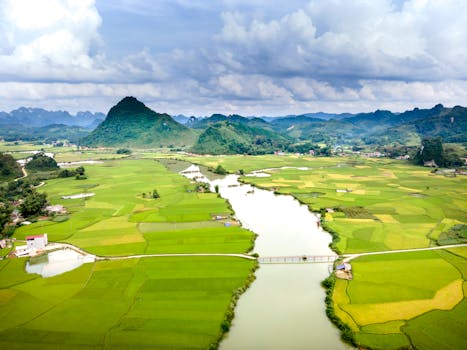 Beautiful aerial landscape of rice fields and river with mountains in the background under cloudy skies.