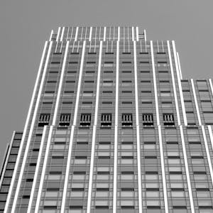 Car mechanic repairing vehicle