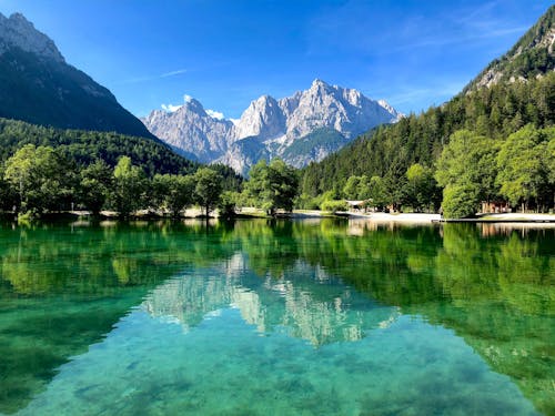 Surroundings Reflection over the Surface of a Calm Lake