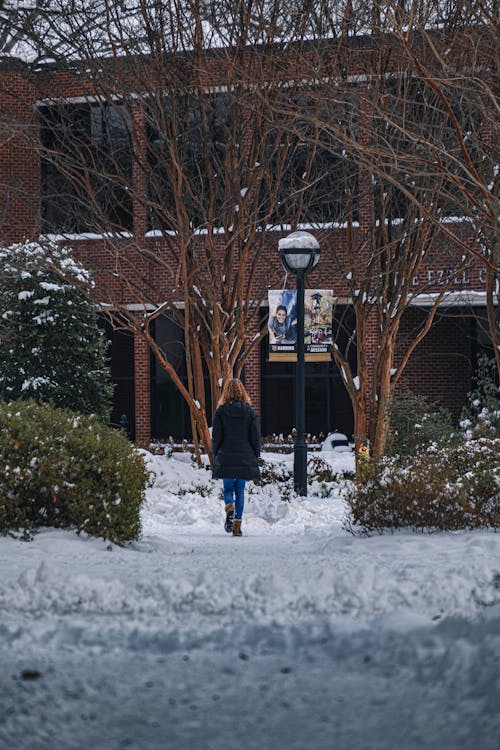 A Person Walking in a Pathway Covered in Snow