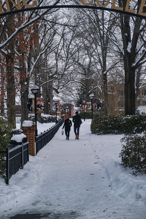 Free stock photo of cold, couple, couple walking