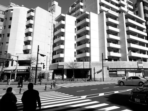 Free Black and white complex of typical multistory residential buildings with symmetric balconies in modern city on sunny day Stock Photo