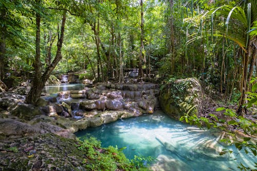 Immagine gratuita di ambiente, foresta pluviale tropicale, lago blu