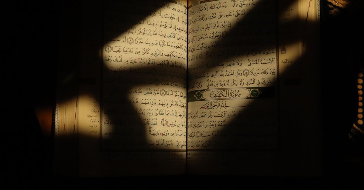 An open holy book (Bible or Quran) lying on a mossy forest floor, sunlight filtering through trees