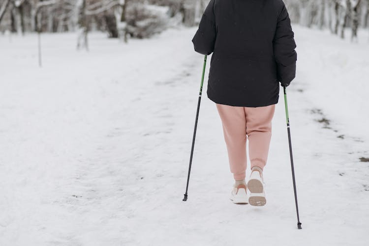 Back View Of A Person With Trekking Poles