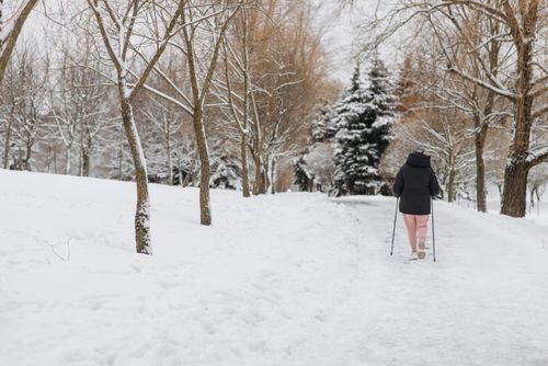 Free A person walking in a snowy park during winter, surrounded by snow-covered trees. Stock Photo
