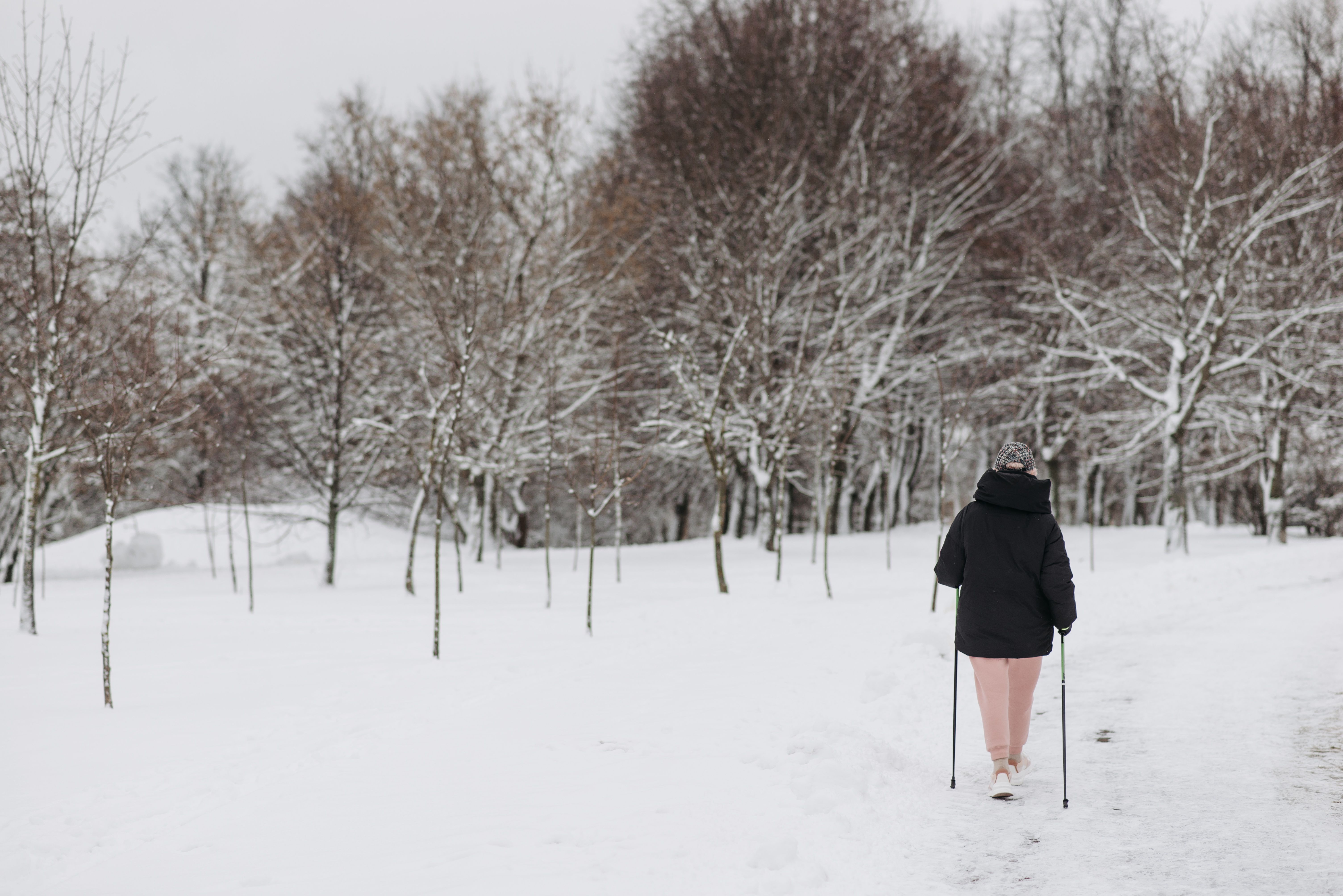 A woman walks through a snow-covered park with bare trees on a cold winter day.