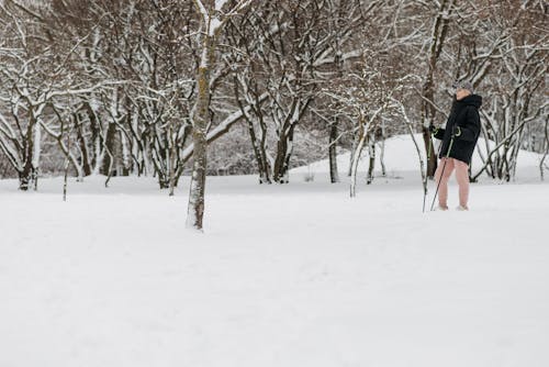 A Woman with Black and Green Trekking Poles Near Bare Trees