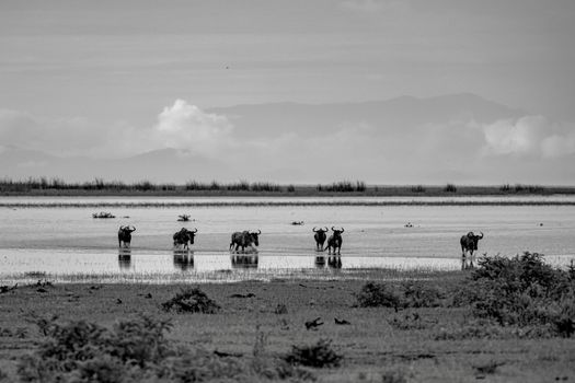 Ngorongoro Crater day — Serengeti