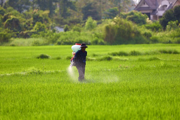 Photograph Of A Farmer Spraying Green Grass