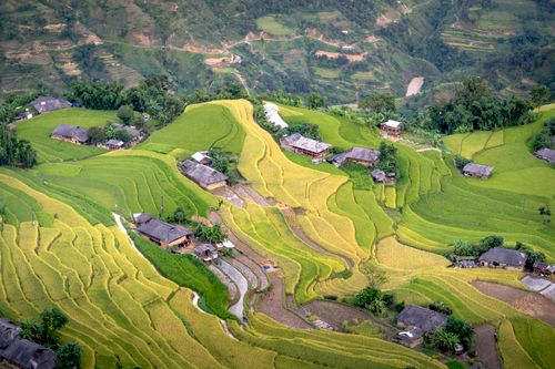 Free Stunning aerial view of green terraced rice fields and farmhouses in a rural Vietnamese landscape. Stock Photo