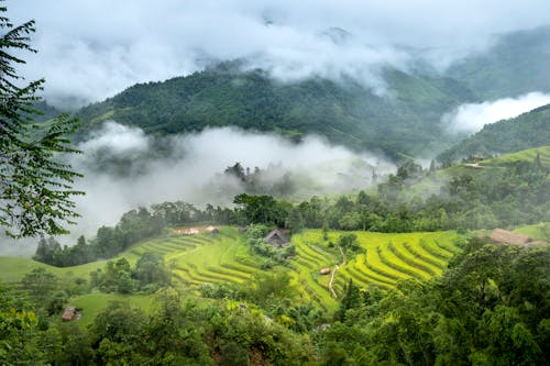 Foto stok gratis agrikultura, fotografi udara, gunung