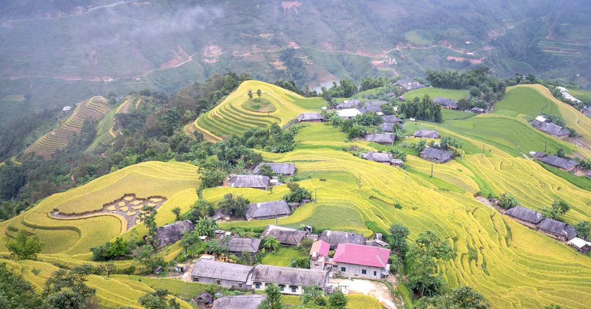 六堆客庄田間樂:駐村小隊體驗農村生活的樂趣