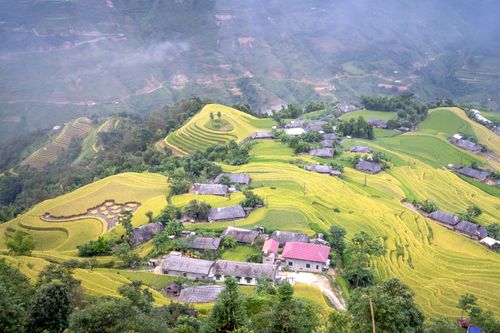 Free Breathtaking aerial view of verdant rice terraces in a rural countryside setting. Stock Photo