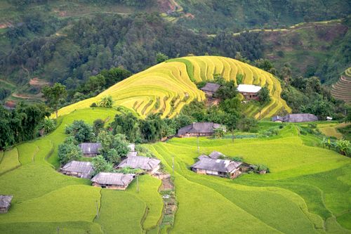 Free Stunning aerial view of rice terraces with traditional houses in a lush green landscape. Stock Photo