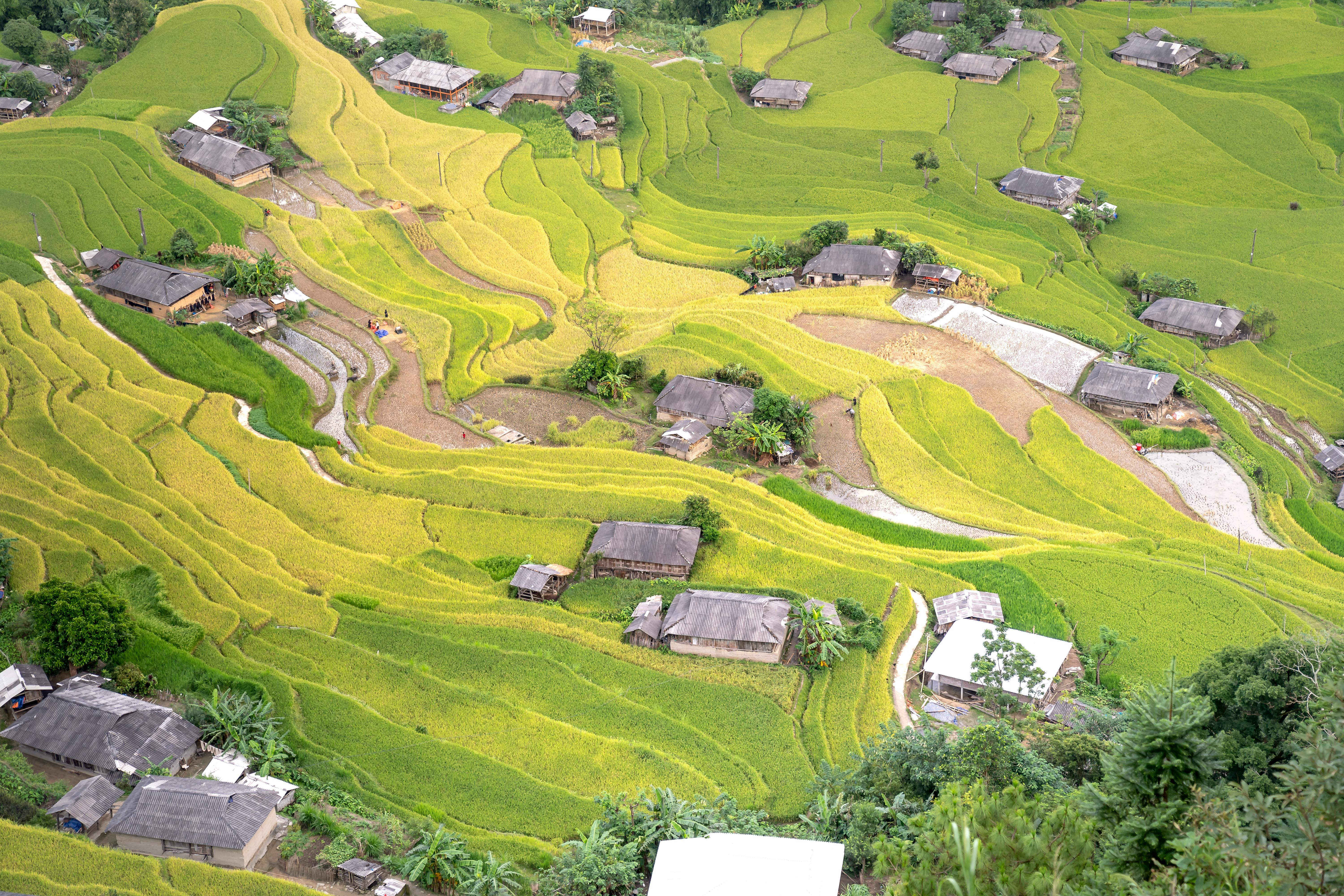 Eco-Friendly Architectural Innovations You Need to See: Green Roofs