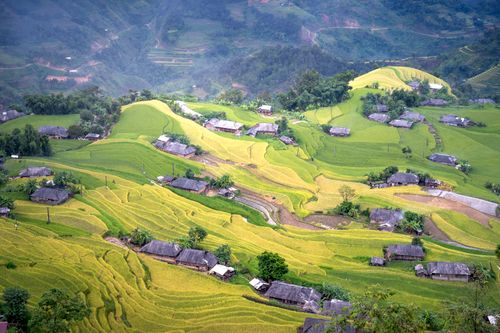 Free Stunning aerial view of rural rice terraces and traditional homes on verdant hillsides. Stock Photo