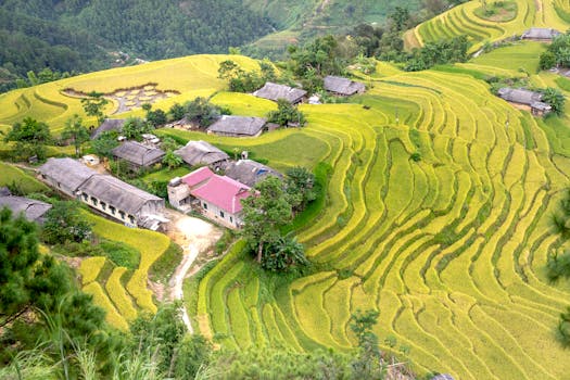 Scenic aerial view of rice terraces surrounding a rural village, showcasing vibrant green agriculture.