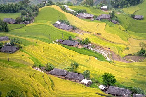 Free A stunning aerial shot of lush terraced rice fields and traditional houses in a scenic hilly landscape. Stock Photo