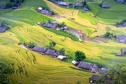 Free A stunning aerial view of lush rice terraces surrounding a rural village, depicting agricultural beauty. Stock Photo