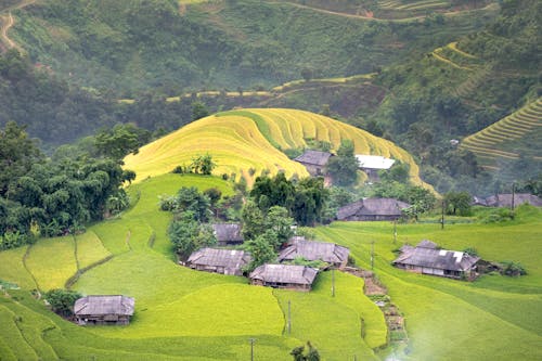 Aerial Photography of Houses on a Paddy Field
