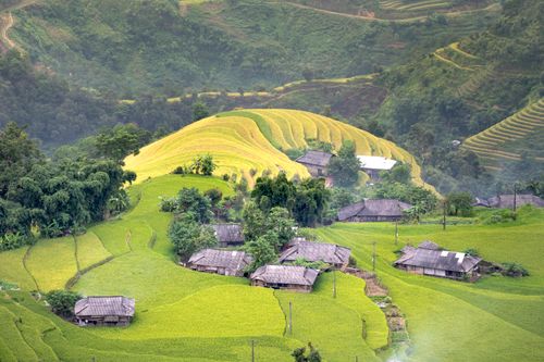Free A stunning aerial view of rice terraces and traditional wooden houses in a lush rural landscape. Stock Photo