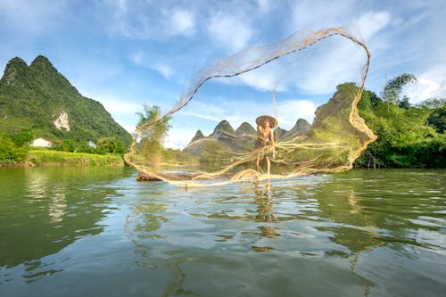 atmak, balık ağı, Balık tutmak içeren Ücretsiz stok fotoğraf