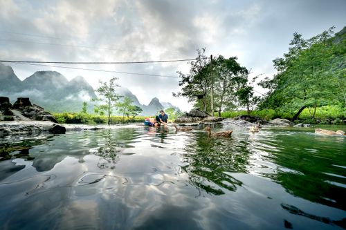 Free Serene river landscape in Vietnam with ducks swimming and lush mountains in the background. Stock Photo