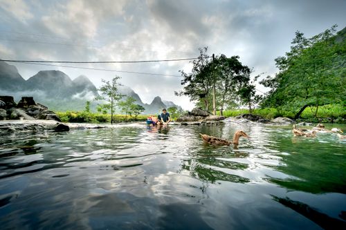 Free Serene view of ducks swimming in a mountain pond with lush greenery and distant hills. Stock Photo