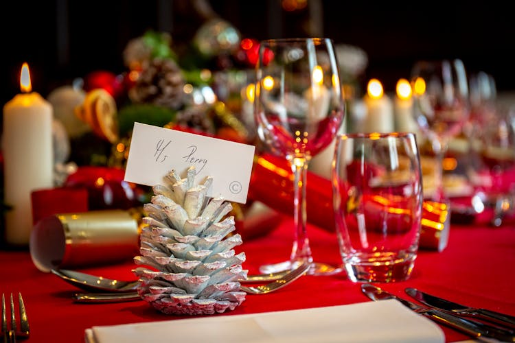 Conifer Cone With White Card