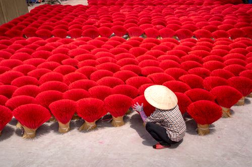 Free Vibrant red incense sticks drying outdoors with a person tending to them, creating a captivating pattern. Stock Photo