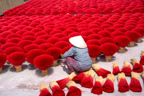 Free A woman in a conical hat arranges red incense sticks for drying outdoors in Vietnam. Stock Photo
