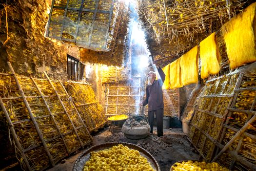 Senior Silk Farmer in a Cocoon Storage