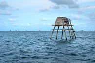 Brown Wooden Dock on the Sea