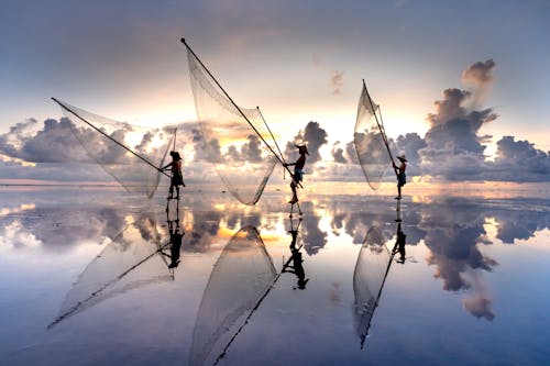 Free Men Throwing a Fishing Net in Sea at Dusk  Stock Photo
