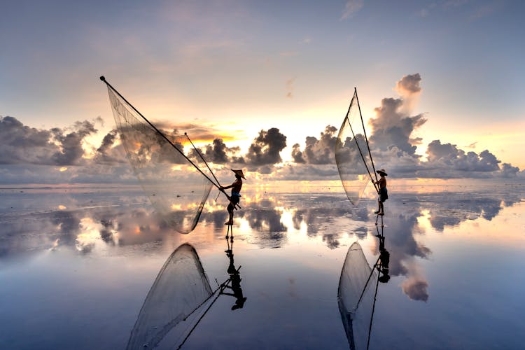 Men Catching Fish In The Nets