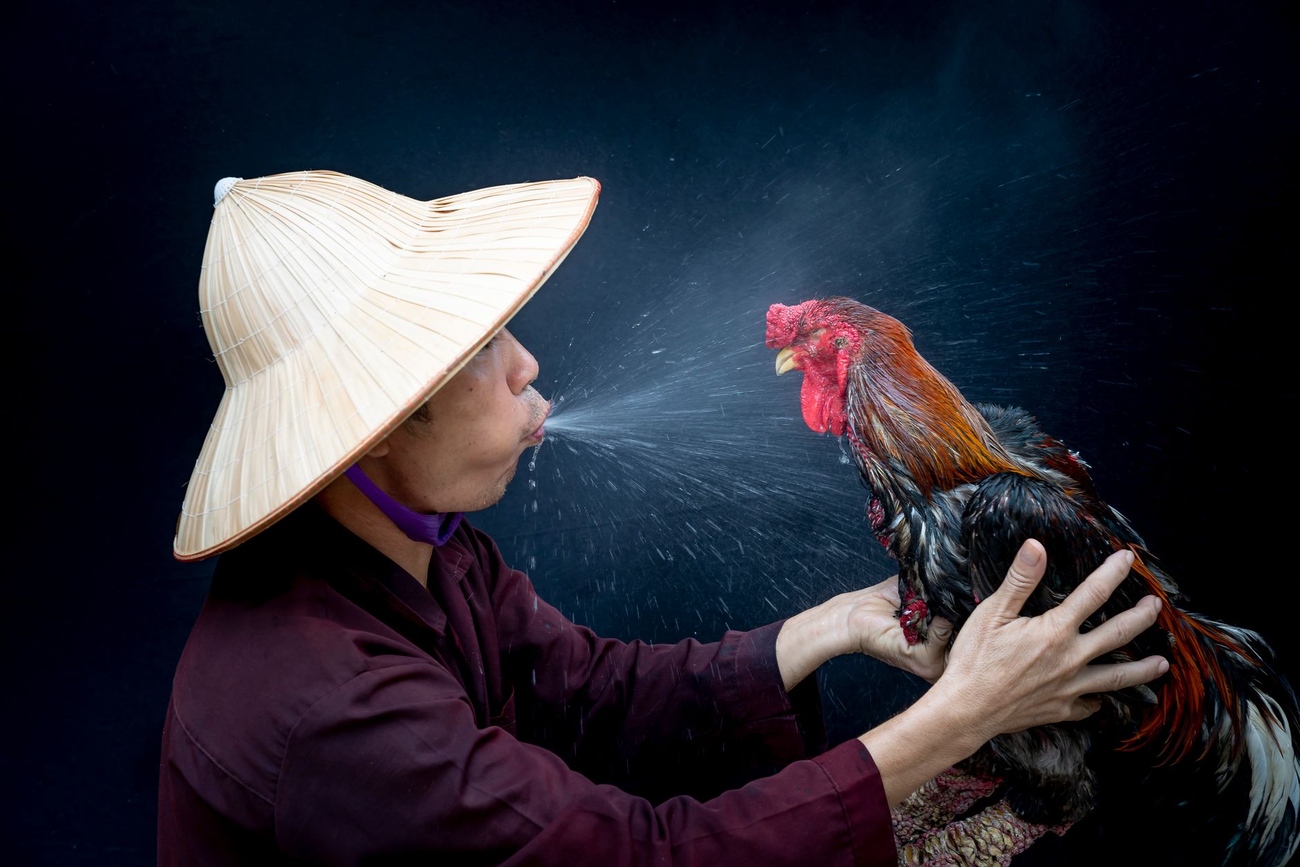 Asian man holding a rooster, creating a unique water spray effect against a dark background.