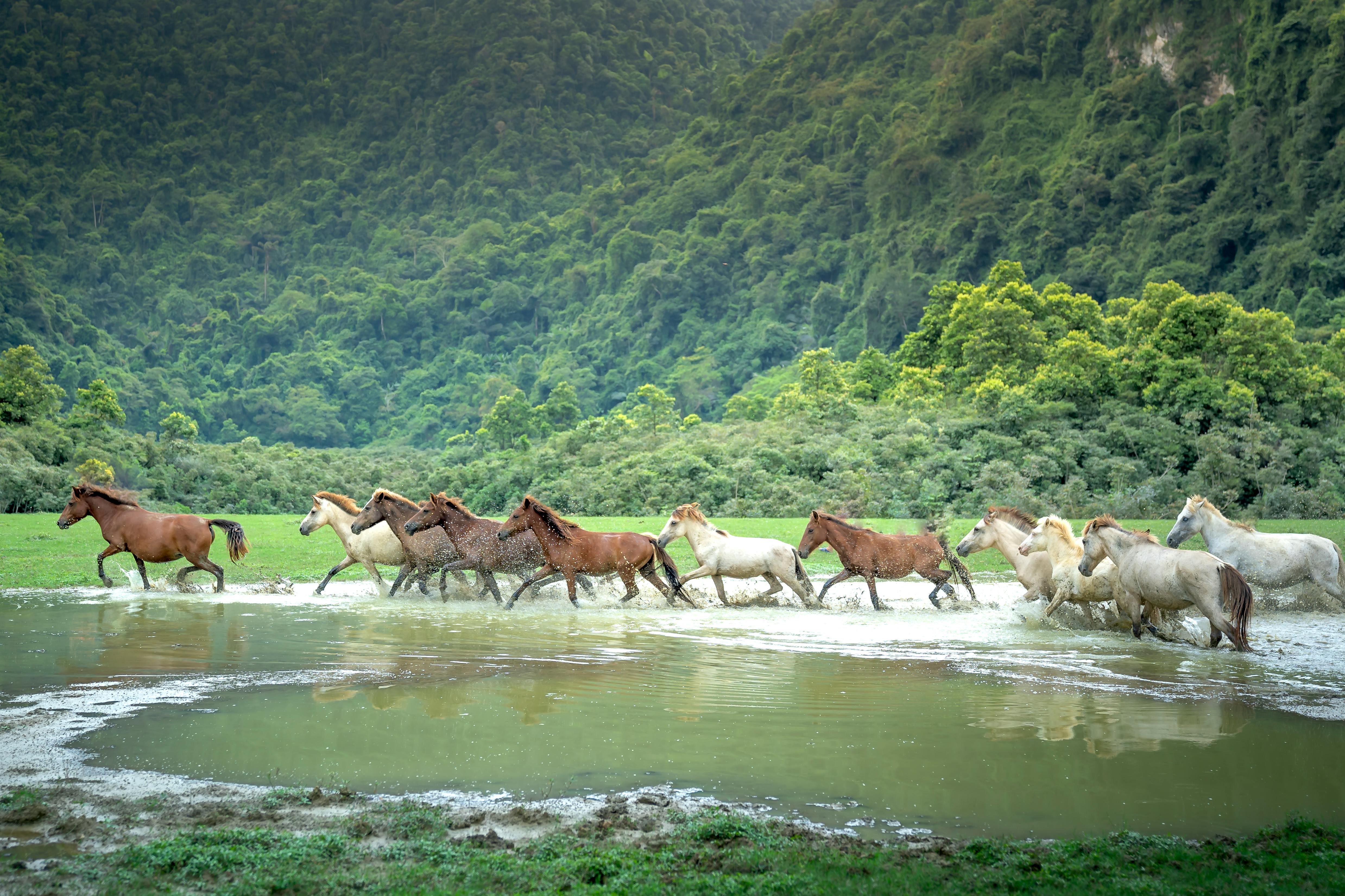 Photo by Quang Nguyen Vinh