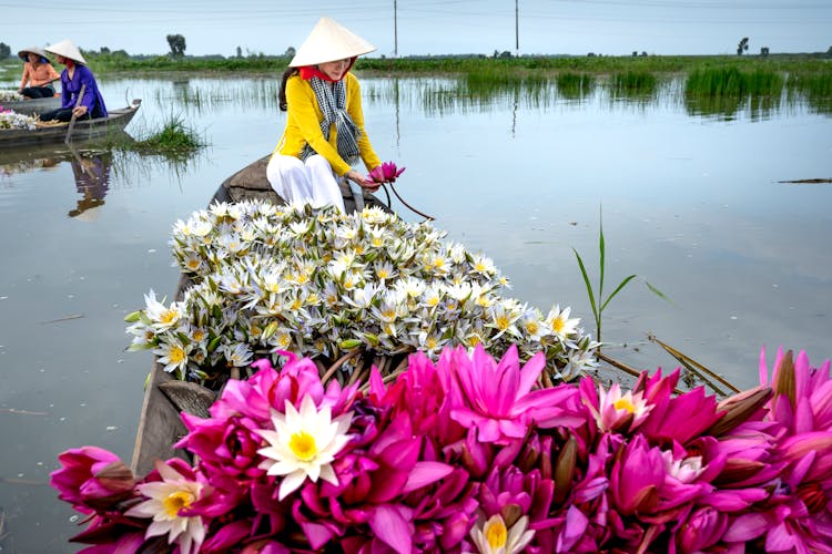 Woman Sitting On A Boat With Indian Lotus Flowers