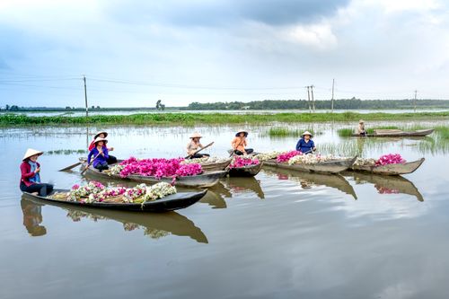Free Women wearing conical hats paddle boats filled with flowers on a serene lake. Stock Photo