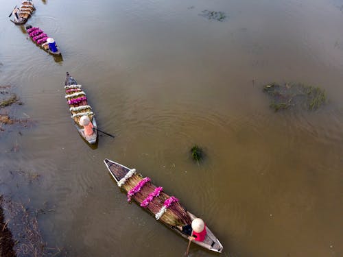 Бесплатное стоковое фото с Аэрофотосъемка, болото, лодки