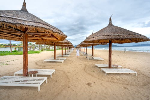Free Brown Wooden Beach Lounge Chairs Under Brown Wooden Roof Stock Photo