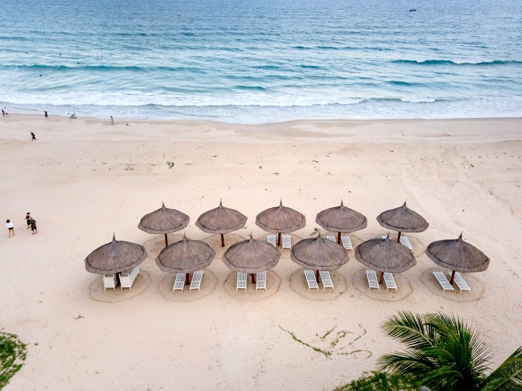 A serene aerial view of a sandy beach with straw umbrellas and lounge chairs, perfect for relaxation.