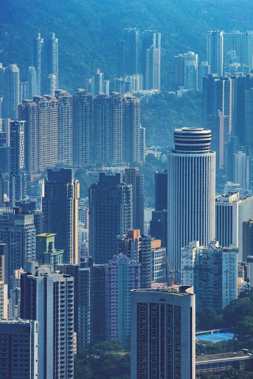 Aerial Photography of Tall Buildings in the City