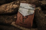 Wooden mbira with metal parts and decorative pattern placed on fallen trunks of trees