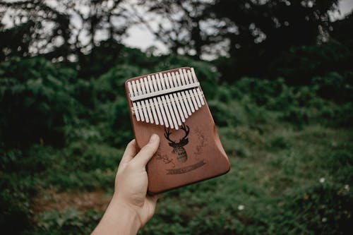 Crop hand of anonymous person demonstrating percussion musical instrument kalimba against blurred trees and bushes in countryside