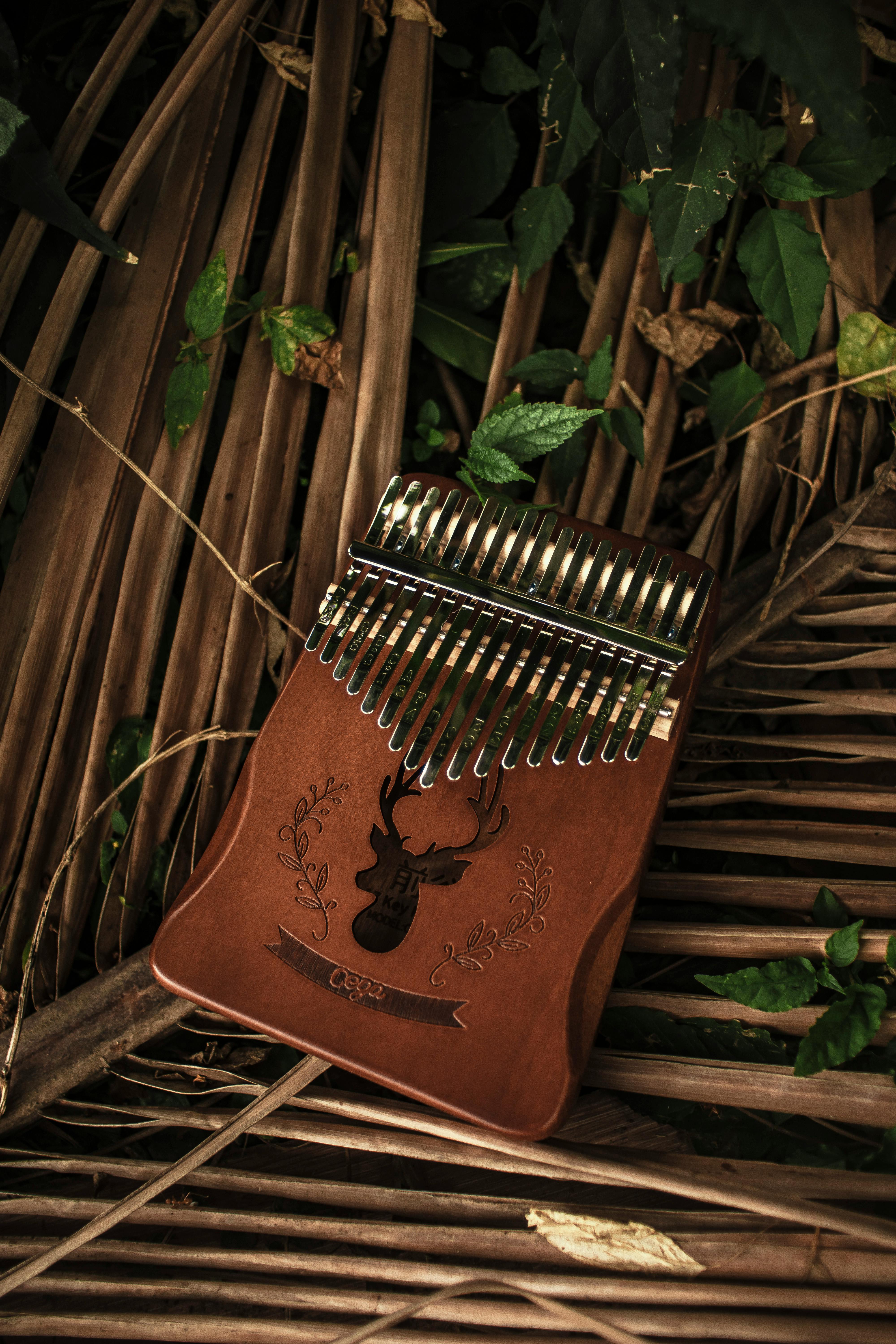 Photo of a Kalimba Near Green Leaves · Free Stock Photo